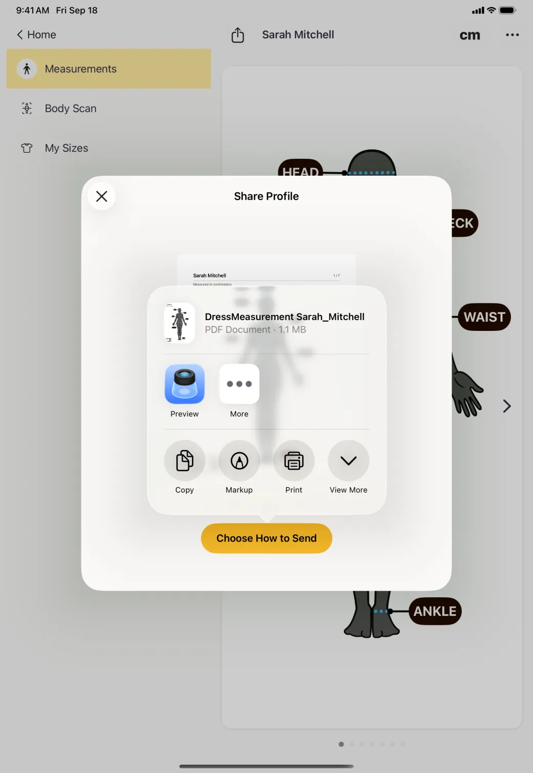 System share popover anchored above the Choose How to Send button, offering a PDF document named DressMeasurement Sarah_Mitchell at 1.1 MB with Preview, More, Copy, Markup, Print and View More.