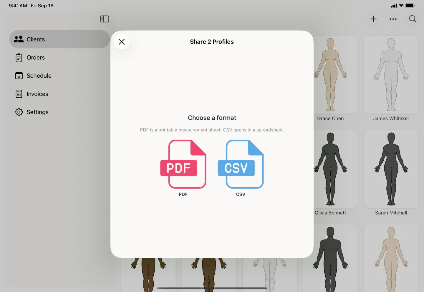 Format chooser card headed Share 2 Profiles over the dimmed client grid and its sidebar, captioned PDF is a printable measurement sheet, CSV opens in a spreadsheet, with a pink PDF file icon beside a blue CSV file icon.