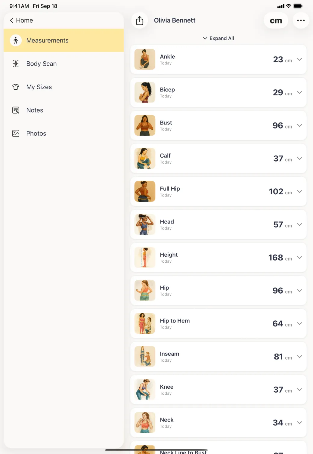 A scrolling list of twelve measurement cards beside the profile sidebar, each with a small illustration, the measurement name, the date Today and the current value in centimetres.